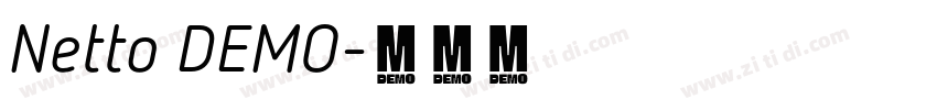 Netto DEMO字体转换